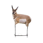 Montana Decoy Eichler Antelope Decoy Combo