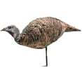 thumbnail image 1 of Montana Decoy Miss Purr-Fect XD Hen Turkey Decoy, 1 of 3