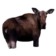 Montana Decoy Moose II Decoy