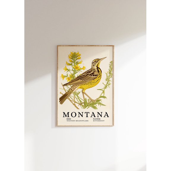 Montana Meadowlark & Bitterroot Art Poster, Unframed Canvas Size 12x18