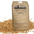 Montana Milling Hard Red Spring Wheat Berries 50 LBS NonGMO