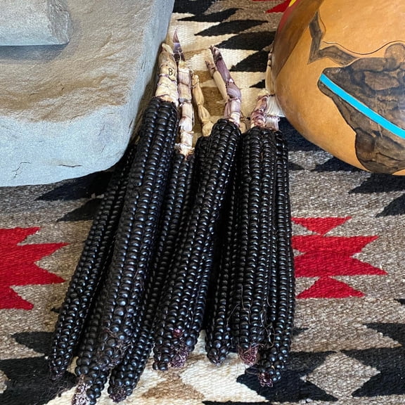 Montana Morado Maize Corn 4 Oz ~360 Seeds – Organic, Non-GMO Flour Corn – Black/Purple Kernels – 90–110 Days – Cold & Drought Tolerant – Zea mays – Open-Pollinated – High Antioxidant