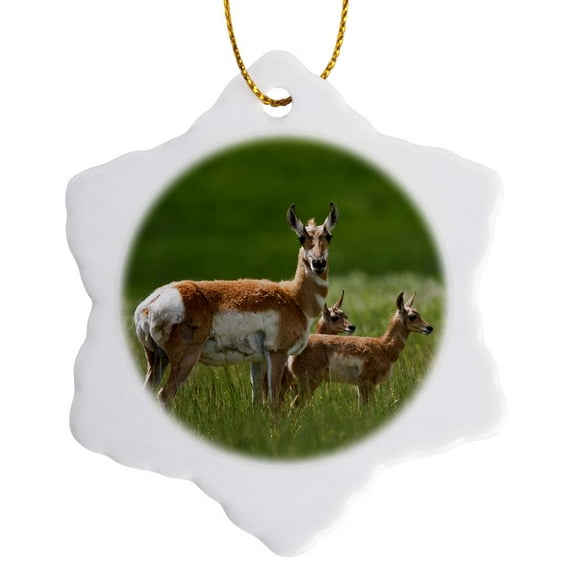 3drose, Montana, Pronghorn Wildlife with Babies - Us27 Ldi0013 - Larry Ditto, 3 inch Snowflake Porcelain Ornament