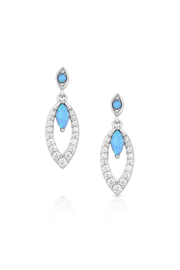 Dancing In The Rain - Accessories Jewelry Earrings - Er6220
