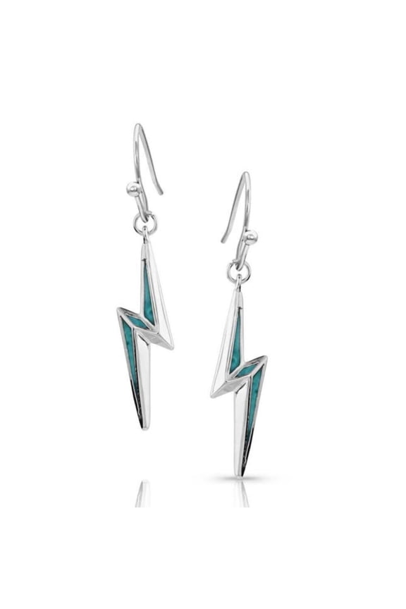 Electrifying Lightning Bolt - Accessories Jewelry Earrings - Er5691