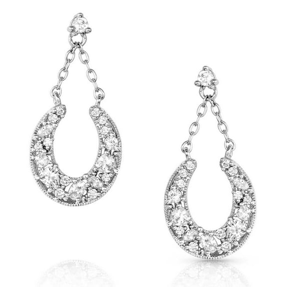Montana Silversmiths Intentional Luck Crystal Drop - Accessories Jewelry Earrings - Er5350