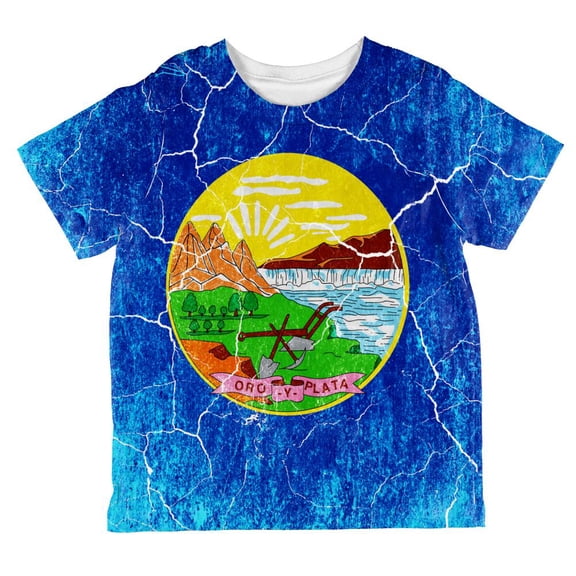 Montana Vintage Distressed State Flag All Over Toddler T Shirt Multi 6T