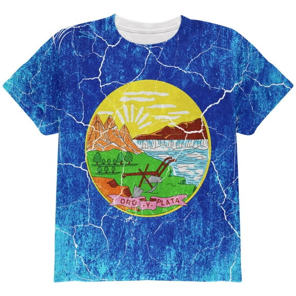 Montana Vintage Distressed State Flag All Over Youth T Shirt Multi YLG