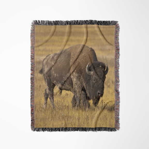 Montana, Yellowstone Np, Bison - Us27 Pwa0000 - Patrick J. Wall, Woven Blanket