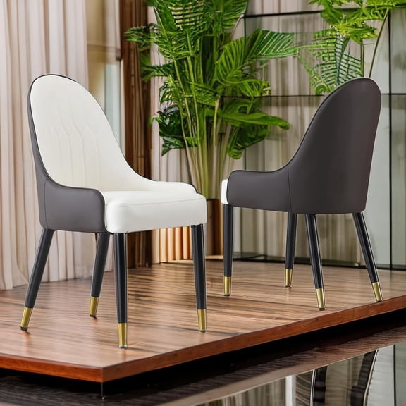 Mid Century Modern 2 Dining Chairs, Two-Tone Leather with Metal Legs & Ergonomic Back - Montary for Dining Room