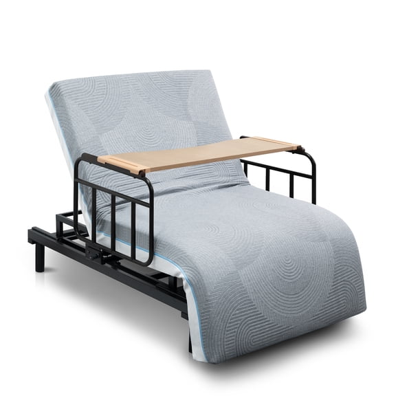 Montary Electric Hospital Bed - One-Touch Remote Back/Leg Adjust, Safety Rails & Stand Assist, for Elderly/Pregnancy Care