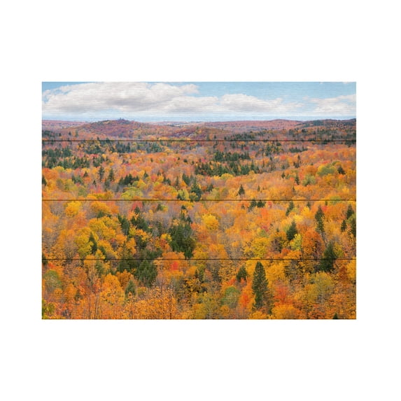 Monte Nagler 'Autumn Palette Marquette Michigan Color' Wood Slat Art 12x16