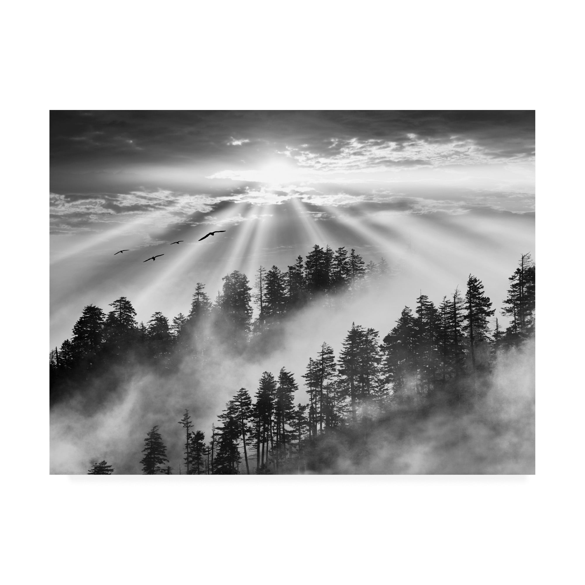 Black and White Smoky Mountain Sunrise Canvas Print, 24'' x 32''