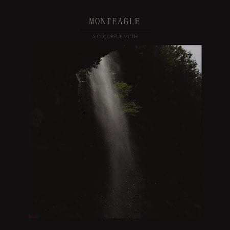 Monteagle - Colorful Moth - Music & Performance - Vinyl price history and forecast - Monteagle B085RM9QH7