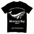 Craigslist Monterey Bay California 15 - 64j041g
