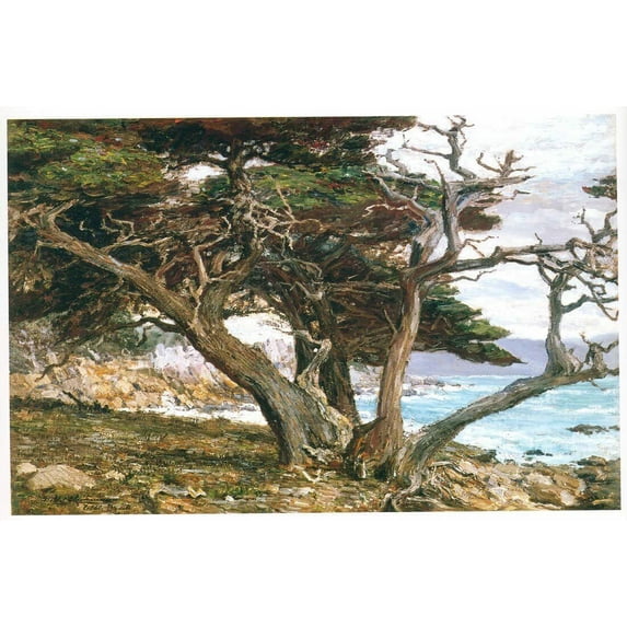 Monterey Cypress Pebble Beach - CANVAS OR FINE PRINT WALL ART