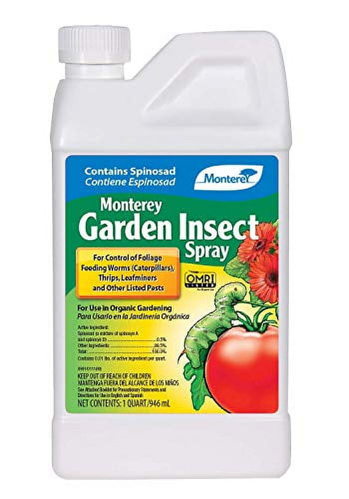 BugPursuit, Instant Natural Indoor Pest Control Spray, Carpet Beetle K –  BugPursuitshop