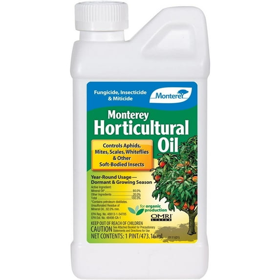 Artist Unknown Horticultural Oil Insecticide - Petroleum Liquid - 16 oz Bottle