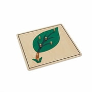 Montessori Leaf Puzzle Wooden Botany Plant Anatomy Educational Learning Toy for Kids