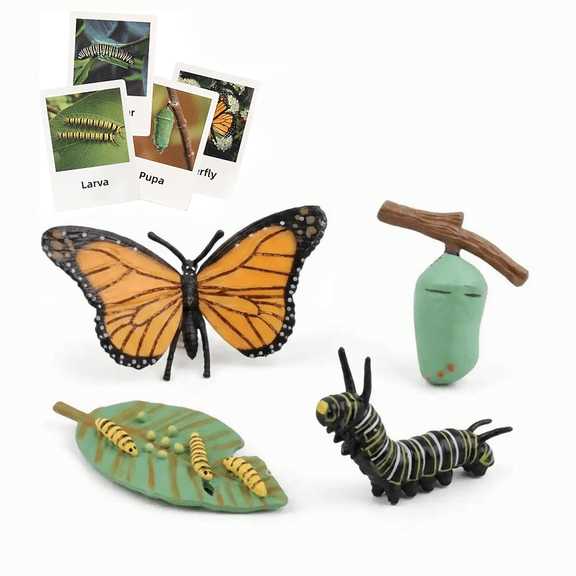 Montessori Life Cycle Animal Figures with Flash Cards, Plastic Insects Monarch Butterfly Kit Caterpillar Toy for Kids, Realistic Animal Figurines (Butterfly)