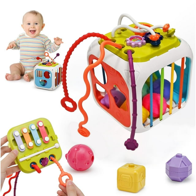 Montessori Toys for 1 Year Old, Educational Learning Toy Gifts 1 Year