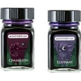 thumbnail image 1 of Monteverde 60ml Ink, Chameleon (Burgundy), Elephant (Purple) Jungle Ink (G309CM, G309EL) Fountain Pen Ink (30ml Each Ink Bottle, 2 Pack), 1 of 2