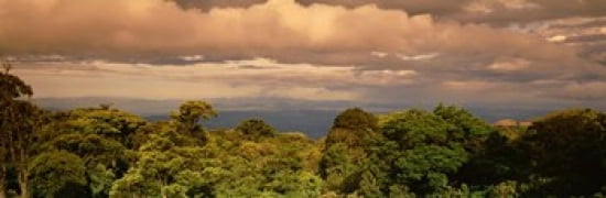 Monteverde Puntarenas Province Costa Rica Canvas Art - Panoramic Images (36 x 12)