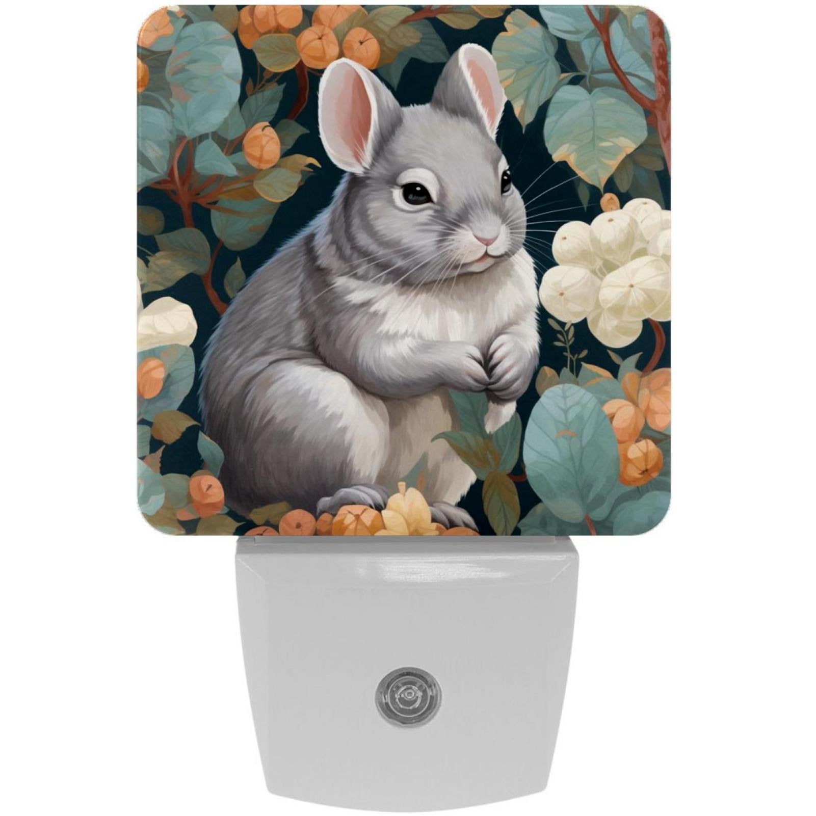 Monther's Day Chinchilla Set of 2 Monther's Day Small LED Night Lights