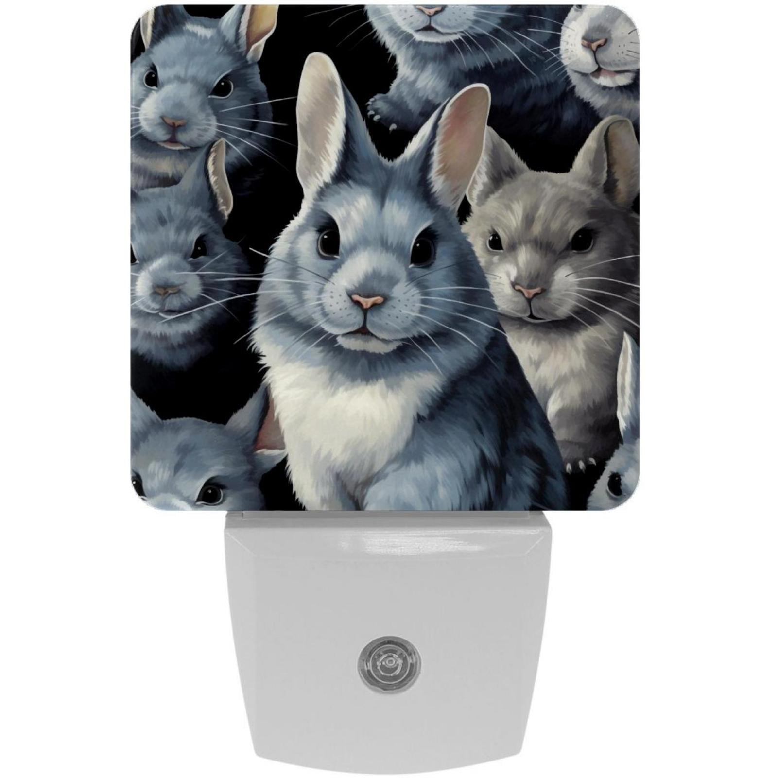 Monther's Day Chinchilla Set of 2 Square Night Light Monther's Day