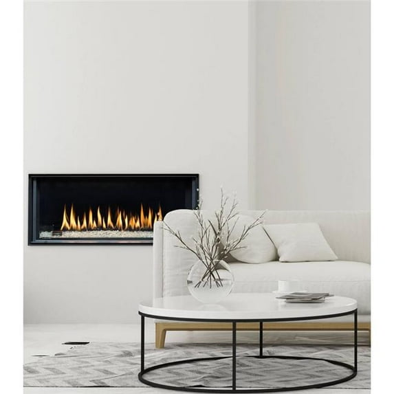 Montigo D3615NI-2 36 in. Distinction Direct Vent Linear Fireplace - Natural Gas