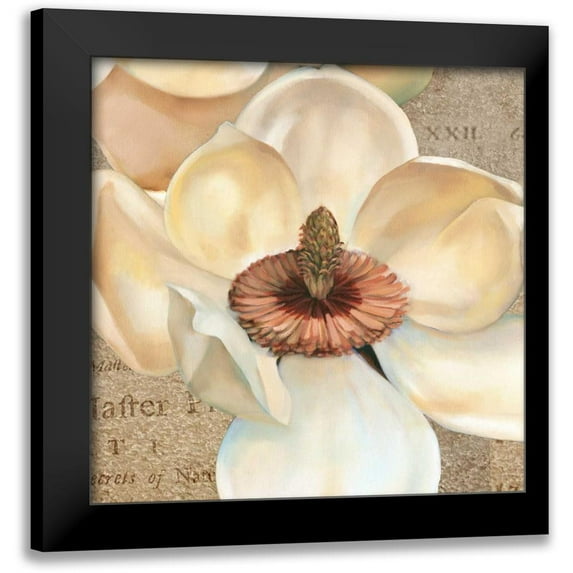 Montillio, Louise 20x20 Black Modern Framed Museum Art Print Titled - Magnolia Masterpiece I