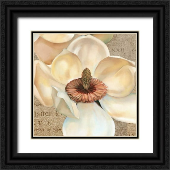 Montillio, Louise 20x20 Black Ornate Wood Framed with Double Matting Museum Art Print Titled - Magnolia Masterpiece I