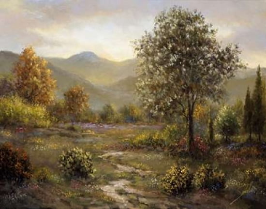 Montree Canvas Art - Sambataro (22 x 28)