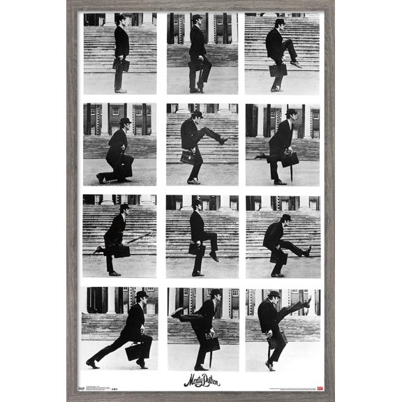 Monty Python - Grid Wall Poster, 22.375" x 34", Framed