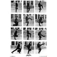 thumbnail image 1 of Monty Python - Grid Wall Poster, 22.375" x 34", 1 of 2