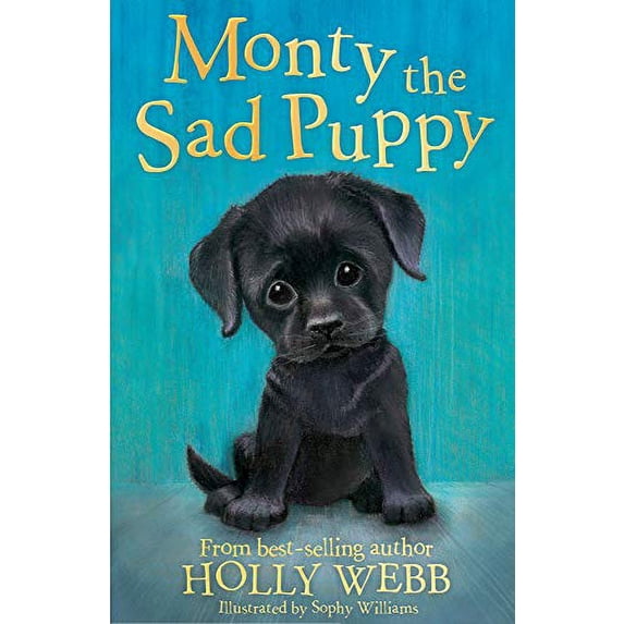 Pre-Owned Monty the Sad Puppy: 35 (Holly Webb Animal Stories (35)) Paperback