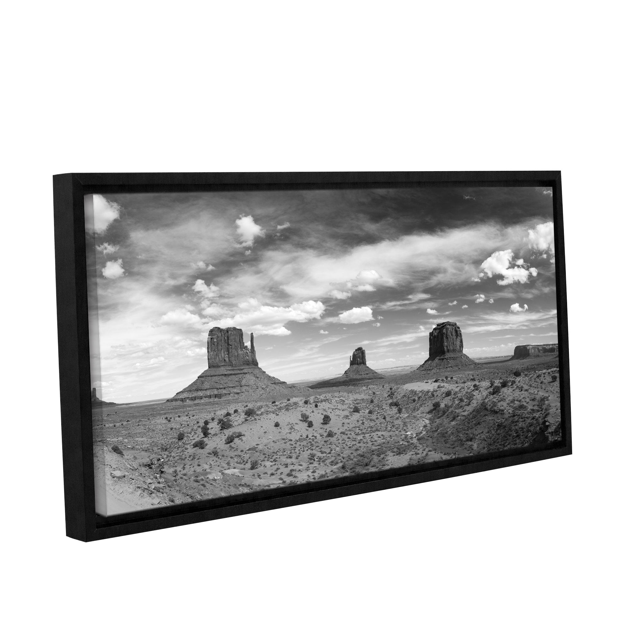 Monument Valley Daytime Panoramic B&W