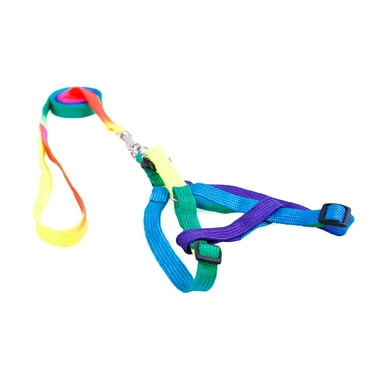 Adjustable Nylon Pet Dog Puppy Cat Harness With Leash Colorful Walking Leash 1.0cm