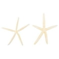 thumbnail image 1 of Monyance knobby sea star 2 Mini Sea Stars for Wedding or Shell Crafts - White Flower Vase(7.09X6.69X0.79Inches), 1 of 10