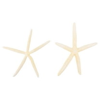 Monyance knobby sea star 2 Mini Sea Stars for Wedding or Shell Crafts - White Flower Vase(7.09X6.69X0.79Inches)