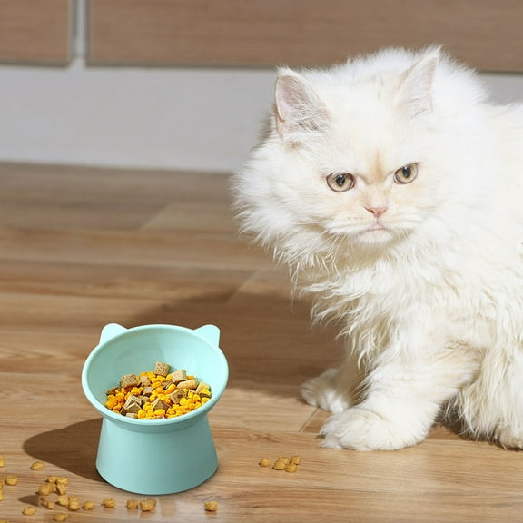 Moocorvic 15° Elevated Cat Food Bowl, Slanted Dog Food Bowl, Non-Skid & Non-Spil Easier to Food, 5.5x5x4.5inch,Light Green