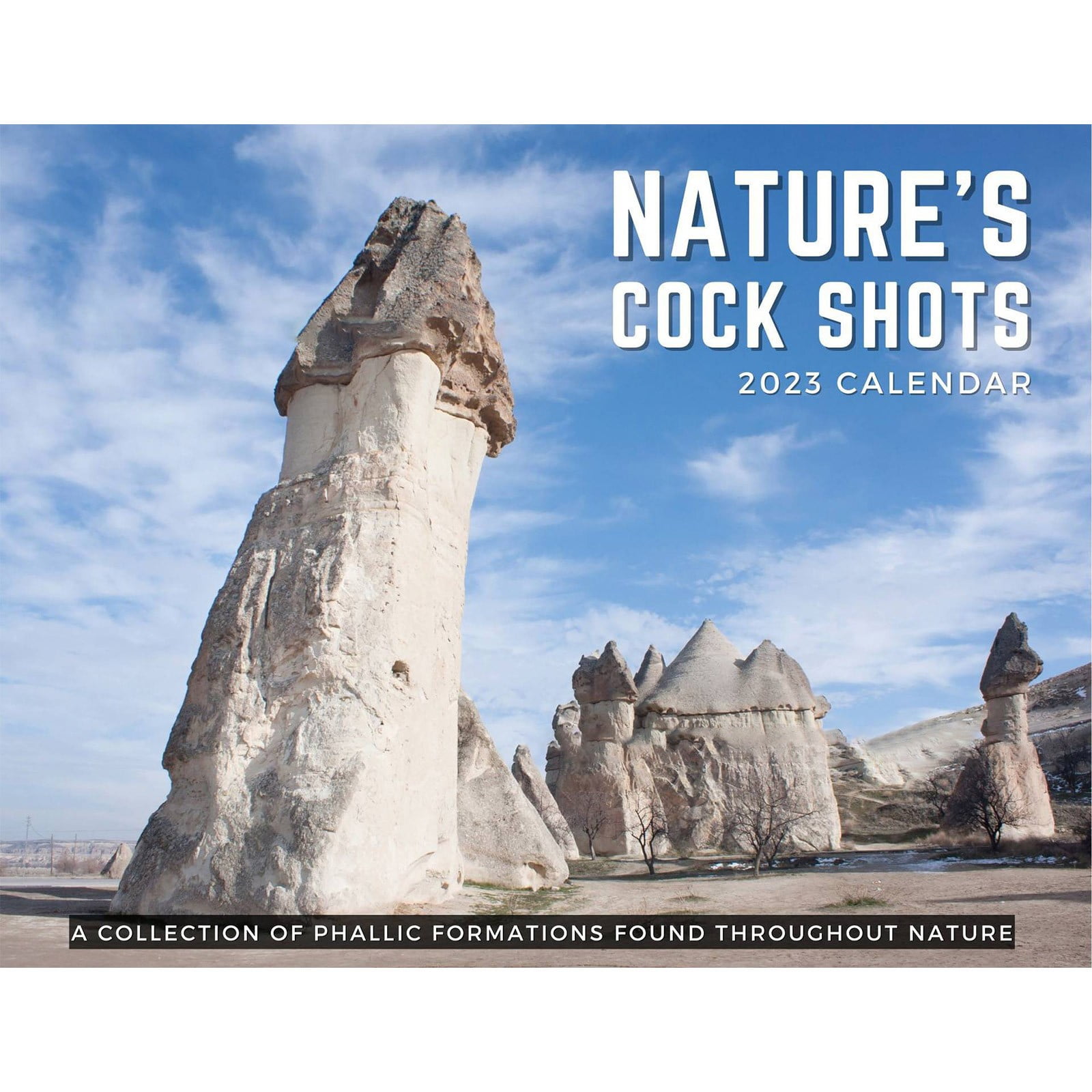 Moocorvic 2023 Stylish And Interesting Creative Calendar Natural Scenery Wall Calendar