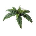 thumbnail image 1 of Moocorvic Artificial Fern Plant 17.3'' Large Fake Persian Plant Realistic Greenery Decoration for Home Porch Office, 1 of 7