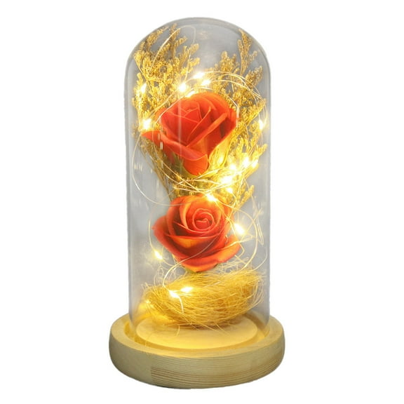 Moocorvic Beauty and The Rose,Enchanted Flower with LED Light &Red Roses. Birthday