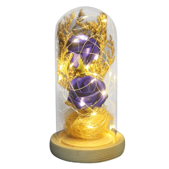 Moocorvic Beauty and The Rose,Enchanted Flower with LED Light &Red Roses. Birthday