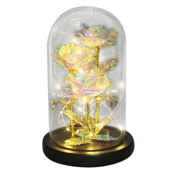 Moocorvic Beauty and The Rose,Enchanted Flower with LED Light &Red Roses. Birthday