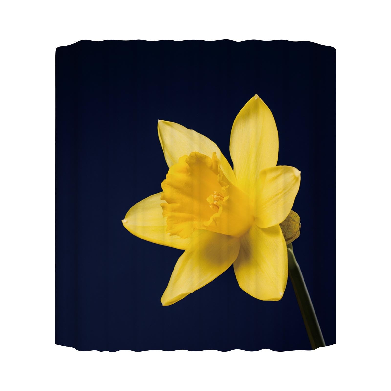 Guanhe Boho Floral Shower Curtain, Red Yellow White Black Waterproof ...