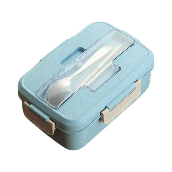 Moocorvic Insulated Bento Box with Compartments, Reusable Portable Large Capacity Lunch Box