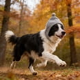 thumbnail image 1 of Dogs Hat,Dog Ear Muffs Noise Protection, Plush Dog Hats Pets Ears Warm Ear Cover, Winter Hat Head Wrap for Small Medium Dogs,L,Gray, 1 of 6