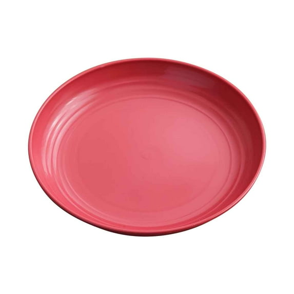 Moocorvic Small Plates, Plastic Plates Reusable Lightweight Dinner Dishes Plates for Fruit, Dishwasher & Microwave Safe, for Thanksgiving Table Decor